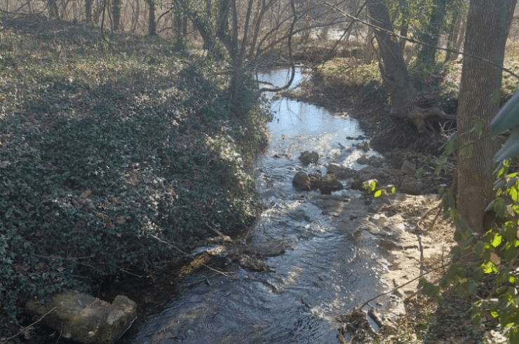 McClelland's Landscape & Tree Service