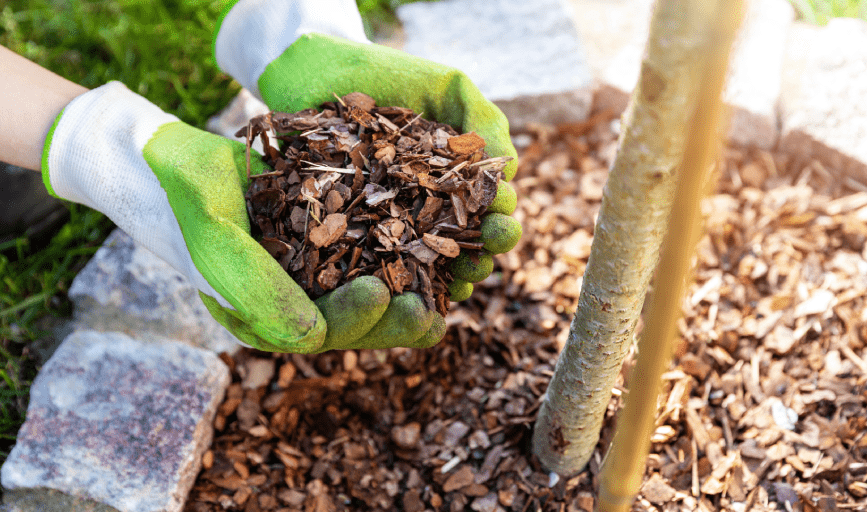 Mulching